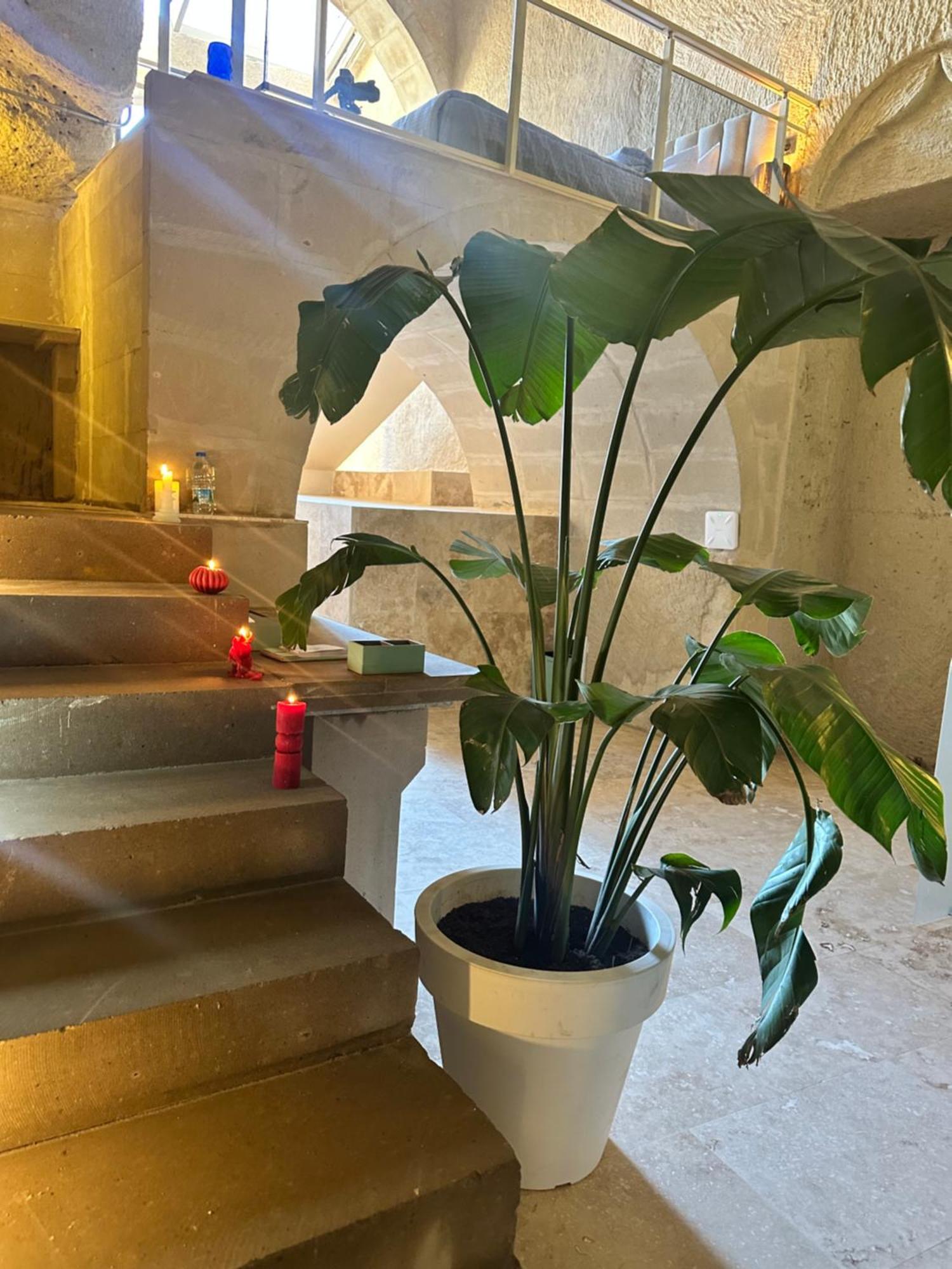 Be Still Alexa Smart Luxury Escape Adults Only Невшехір Екстер'єр фото